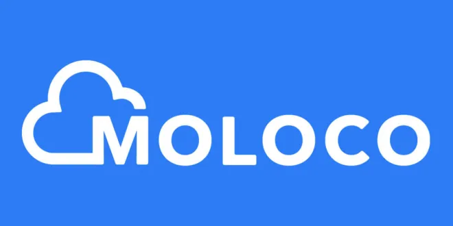 몰로코